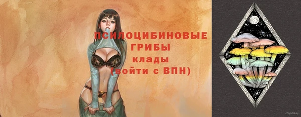 дживик Белокуриха