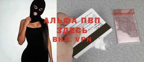 дживик Белокуриха