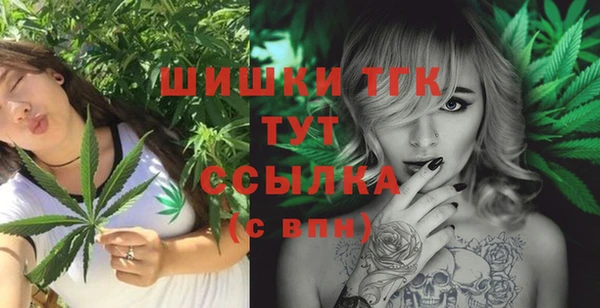 mdpv Снежинск