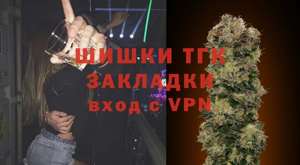 ГАЛЛЮЦИНОГЕННЫЕ ГРИБЫ Баксан