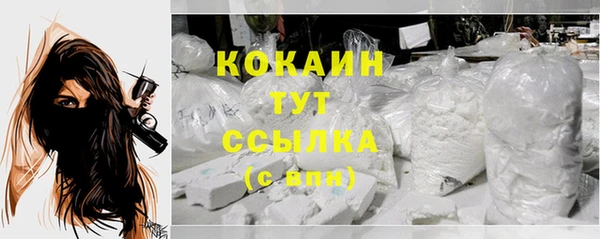 дживик Белокуриха