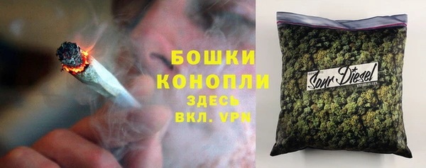 ГАЛЛЮЦИНОГЕННЫЕ ГРИБЫ Баксан