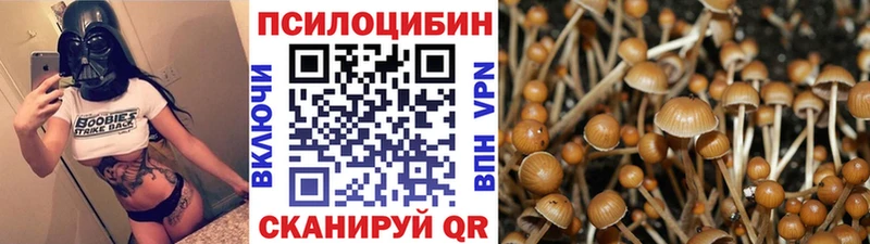 Галлюциногенные грибы Magic Shrooms ОМГ ОМГ ССЫЛКА Заволжск закладки