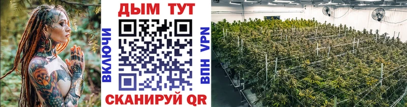 Бошки марихуана план  mega вход  Заволжск 